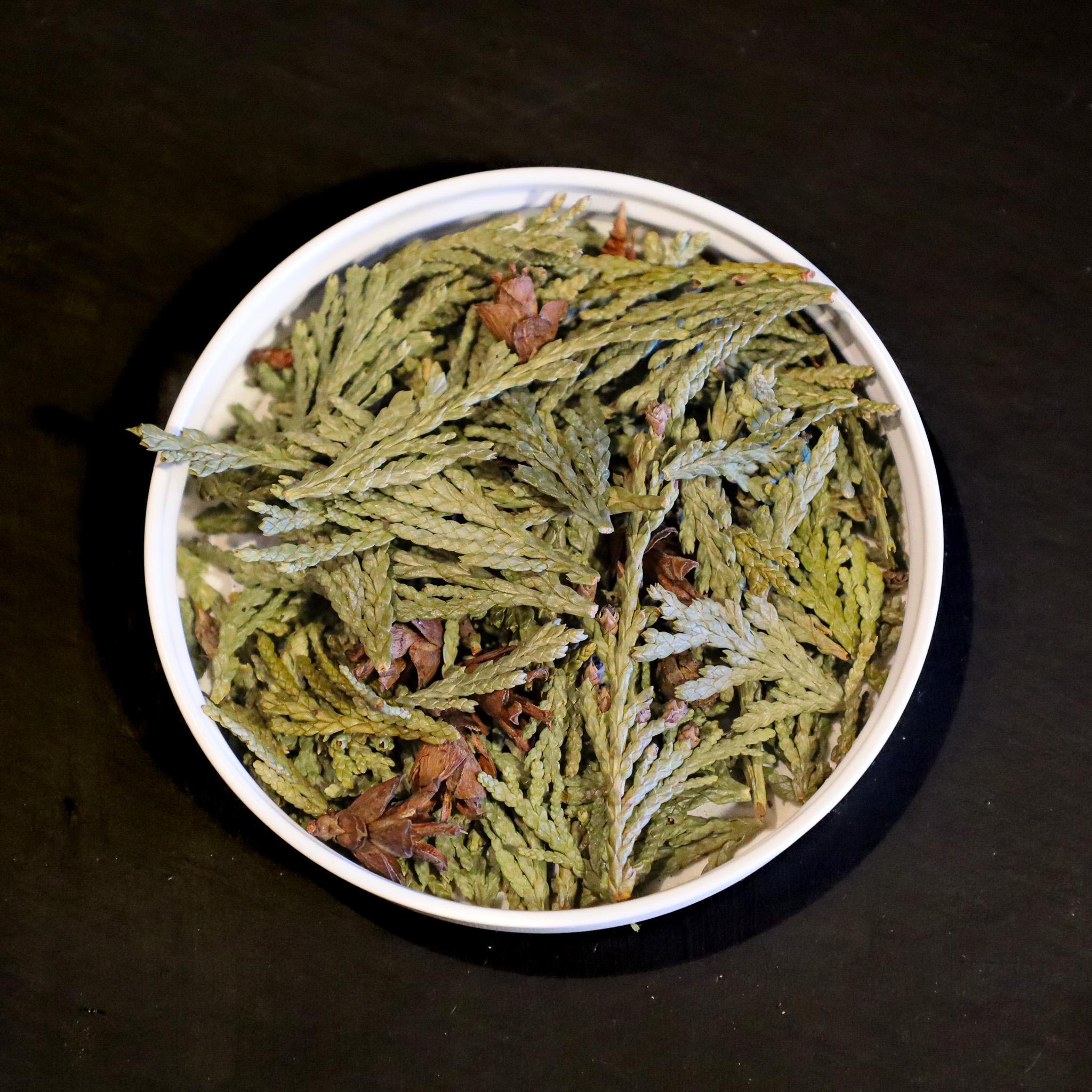 Cedar Tips