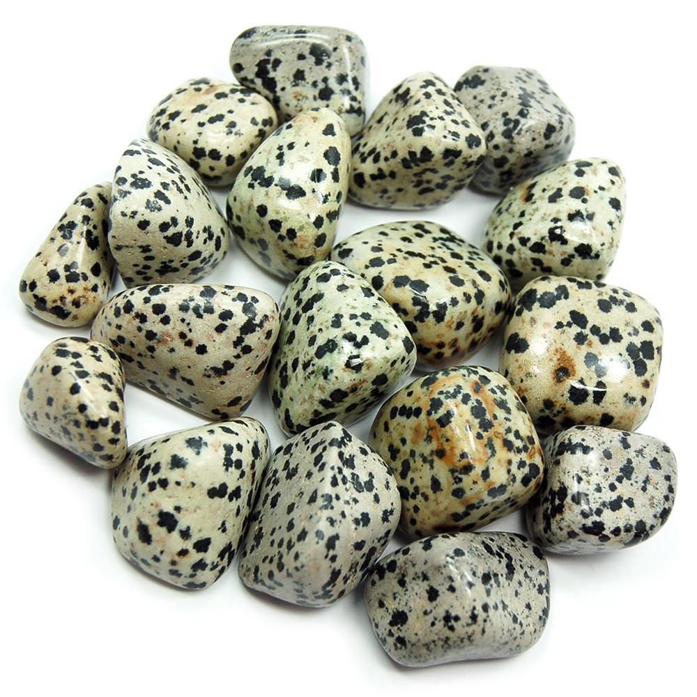 Dalmation Jasper