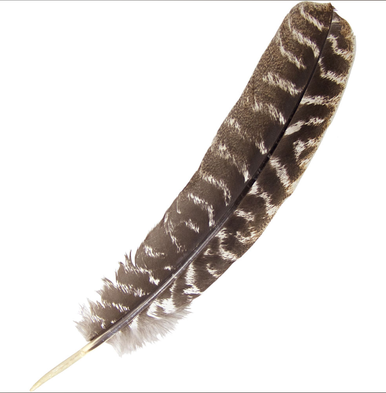 Feathers