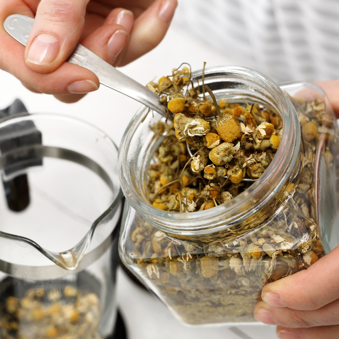 Growing Your Own Tea Garden
